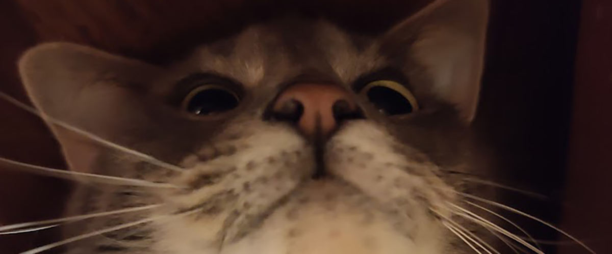 Wally's favorite toy